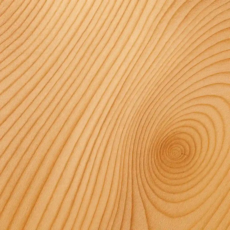 تصویر مفهومی نمای بسته از بافت چوب ساسنا